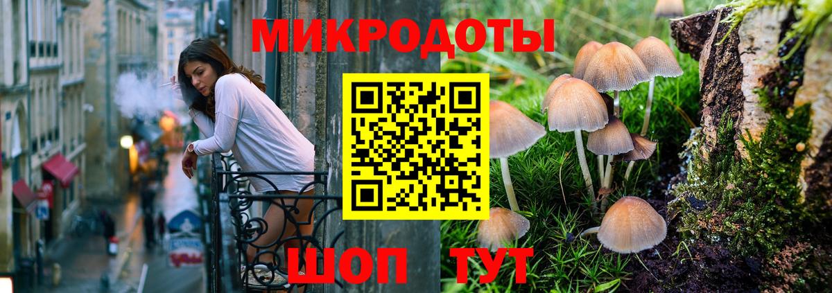 Белгород  Псилоцибиновые грибы GOLDEN TEACHER  Вход с VPN 