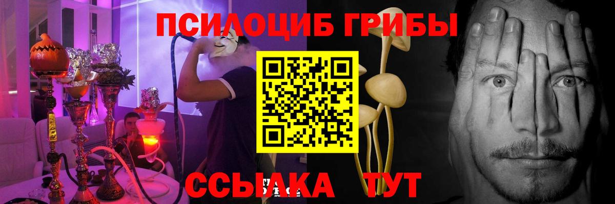 Псилоцибиновые грибы Cubensis Белгород